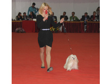1-IMG_3692.JPG