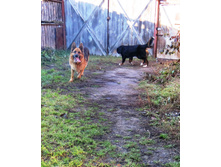 ������ 003.JPG