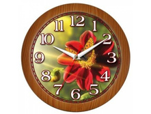 ���� 4388062.jpg