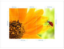 bug �������.jpg