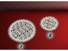 ���. �������� �������