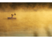 �������� ����.jpg