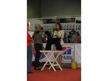 1-IMG_3508.JPG