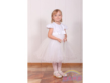 ������ ��=����� 1060 ���.jpg