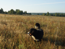 DSC02465.JPG