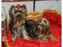 1-IMG_3569.JPG