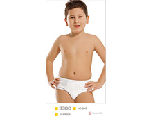 ����������� ����� UCS 3300.jpg