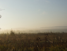 DSC02503.JPG