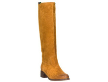 PLU_72261 NRX - 333 (40�) ��� ��� ����� ���.����� ���� 118(Gerzedo) 3860 ���.JPG