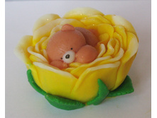 ����� � ������ ���� 120 ���