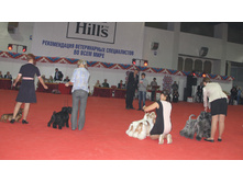 1-IMG_3668.JPG