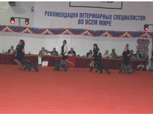 1-IMG_3670.JPG
