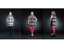 ������ ����