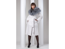 ���� Rex � ����������� S-8.jpeg