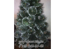 ����� ����