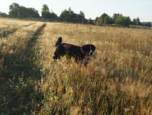DSC02464.JPG