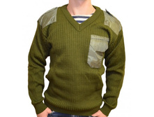 ��̣��� V.JPG