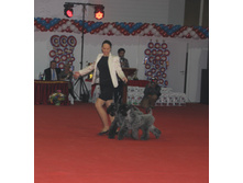 1-IMG_3662.JPG