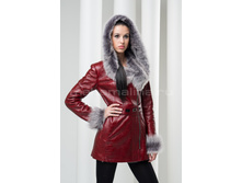 �������� ������, ���������� D-96.jpeg