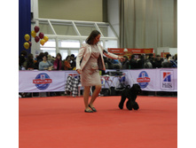 1-IMG_3512.JPG