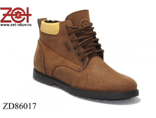 ZD86017 1333�.+%.png