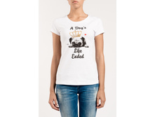 WF 8856 (C W8856.50) �������� 11,27 ��