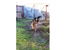 ������ 001.JPG