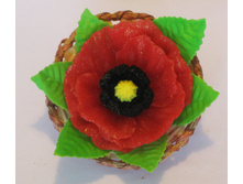 ���. ���� 50 ��� �� ��