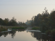 DSC02501.JPG