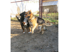 ������ 026.JPG