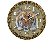 ���� 17881.jpg