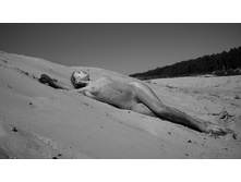 �������� ����.jpg