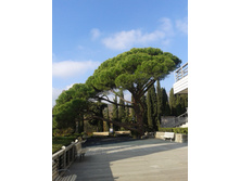 20141113_105143.jpg