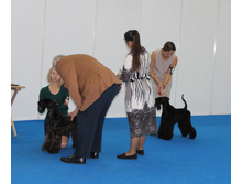 1-IMG_3601.JPG
