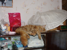 DSC02280.JPG