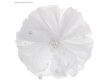 ������� ��� ����� ��������� ���� ������� � �������� ���� 29,6 ���. �� 6 �� ������! ������..jpg