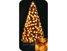 "�������", 180��