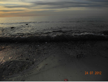 DSCN2835.jpg