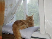 DSC02383.JPG