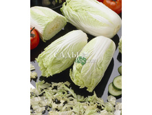 ������� ��������� ������� ������� F1 16��. 22,00