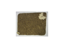 ������ ����� c ��� ��������� ��.jpg