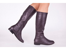 �������: A0559