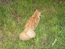 DSC02389.JPG