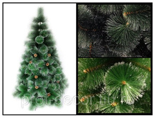 ���� � �������