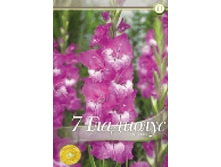������ 2,29 ���� �� 7 ��.png