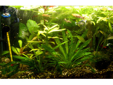 ������ 80 �..JPG