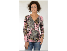 big_cat_ee96377aeeeb4febbd83a84b37339d6e.png