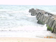 DSCN3262.jpg