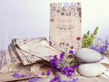 ����������� ����� «L’�osmetics» ��� ���� ������ ������.jpg