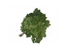 ����� �̣�.jpg